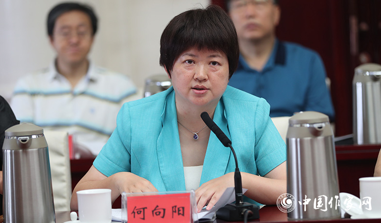 7月28日,評獎辦公室主任何向陽在全體會上做關于參評作品申報情況及其它事項說明