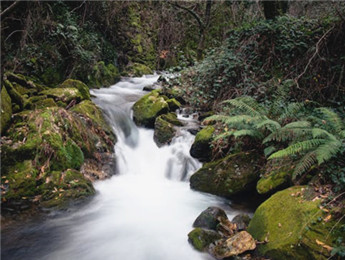 在自然的詩行里,我們都是蹩腳的讀者……