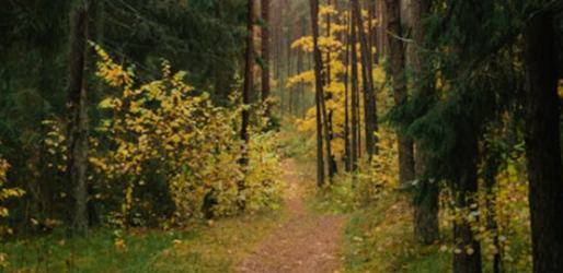 邵燕君:基于“書友經濟”的大規模文學生產——中國網絡文學的獨特屬性及其生產機制的建立