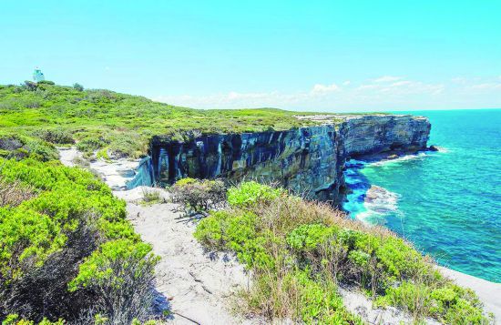 1769年，庫克中尉帶領“奮進號”萬里遠航，于1770年4月29日抵達悉尼東海岸，并把這個海灣命名為“植物灣”。如今的植物灣，碧水藍天，繁花點點，早已是另外一番景象。 植物灣